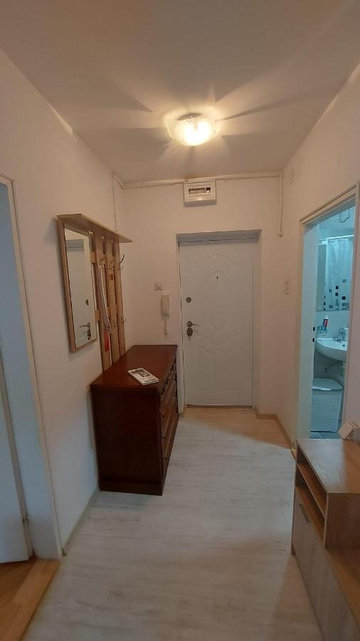 Apartman Milica Vrsac Zewnętrze zdjęcie