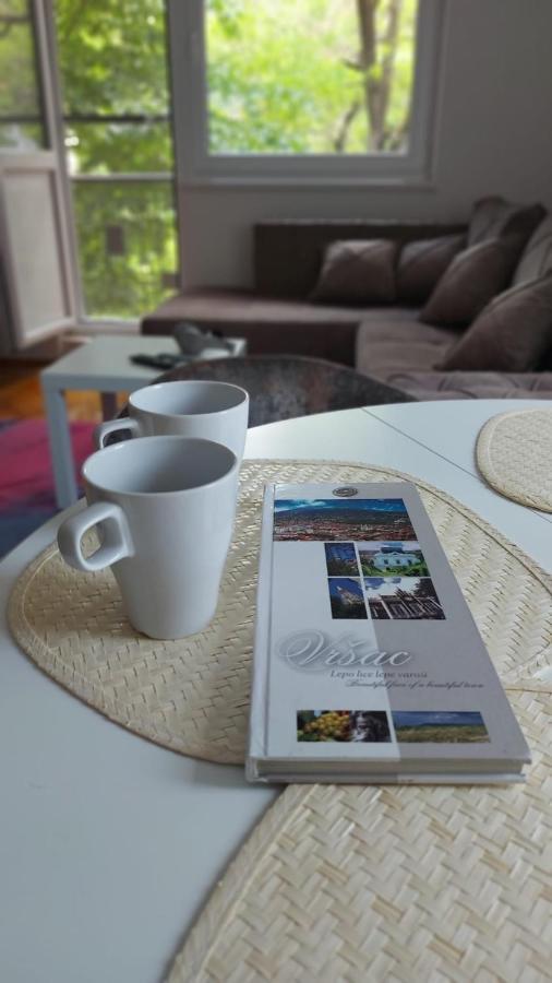 Apartman Milica Vrsac Zewnętrze zdjęcie
