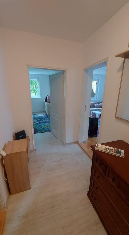 Apartman Milica Vrsac Zewnętrze zdjęcie