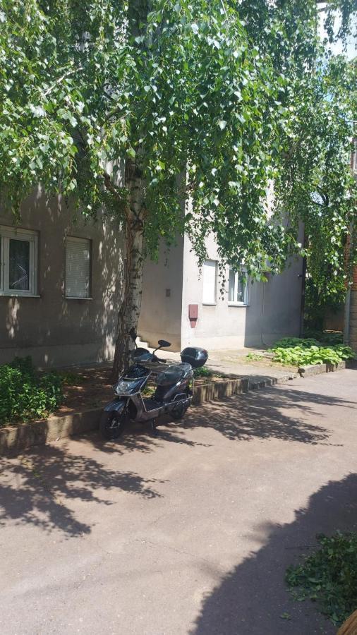 Apartman Milica Vrsac Zewnętrze zdjęcie