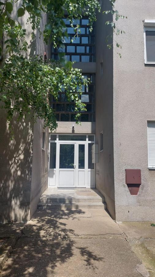 Apartman Milica Vrsac Zewnętrze zdjęcie