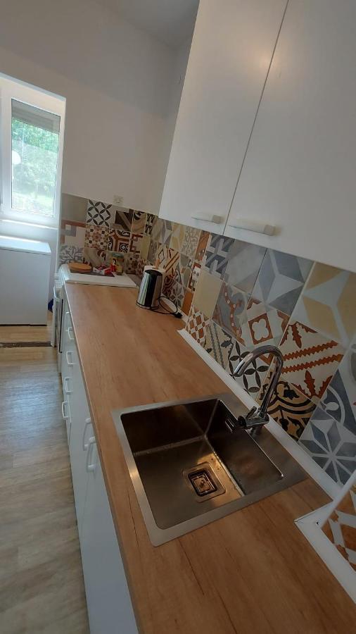 Apartman Milica Vrsac Zewnętrze zdjęcie